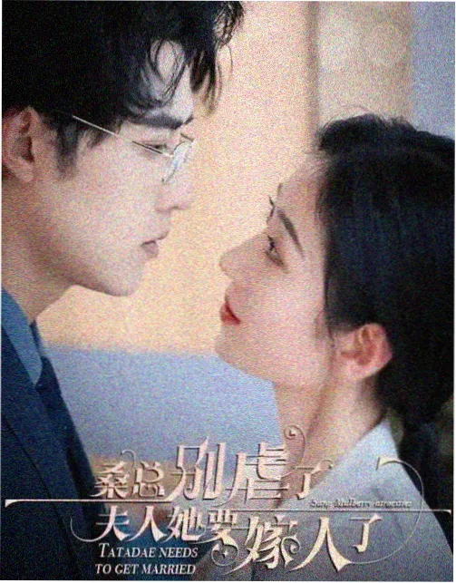 苦根人物档案配图